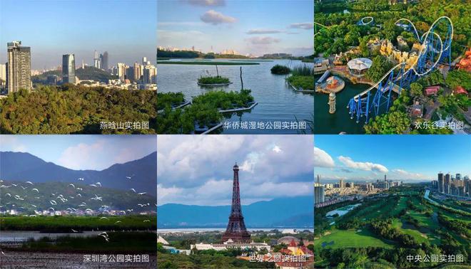 楼中心热线最新房价+户型图+配套麻将胡了app绿景白石洲开发商售