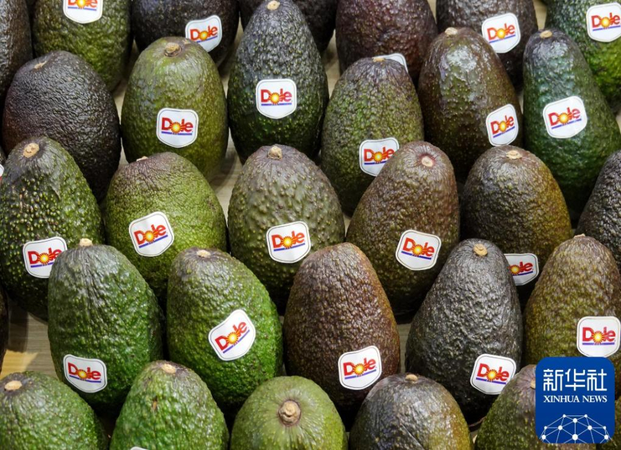 content麻将胡了a(图5) content麻将胡了a(图5)