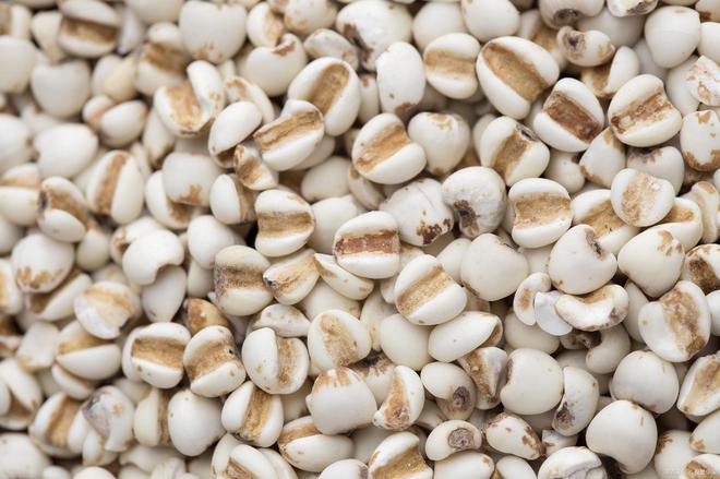 吃这4种米补足营养为入冬打好基础麻将胡了游戏深秋建议中老年人:多(图4) 吃这4种米补足营养为入冬打好基础麻将胡了游戏深秋建议中老年人:多(图4)