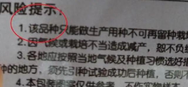 ”背后原因没有想象的那么不堪……麻将胡了试玩平台种子“不得留种(图1) ”背后原因没有想象的那么不堪……麻将胡了试玩平台种子“不得留种(图1)