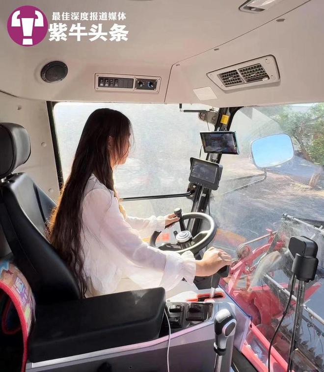 闯北免费为老人收割玉米被画成漫画走红麻将胡了app女农机手开着收割机走南(图3) 闯北免费为老人收割玉米被画成漫画走红麻将胡了app女农机手开着收割机走南(图3)