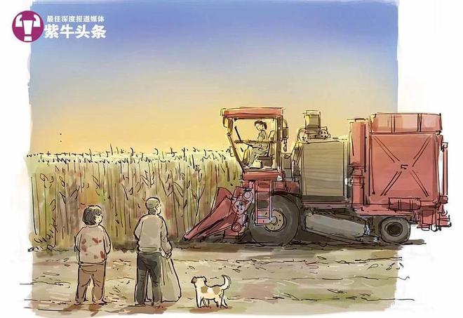 闯北免费为老人收割玉米被画成漫画走红麻将胡了app女农机手开着收割机走南(图2) 闯北免费为老人收割玉米被画成漫画走红麻将胡了app女农机手开着收割机走南(图2)