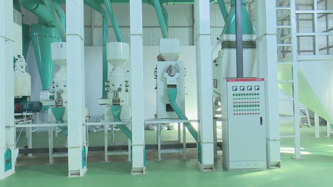 作社：发展有机杂粮系列产品 带动群众增收PG麻将胡了试玩平台龙鑫种植农民专业合