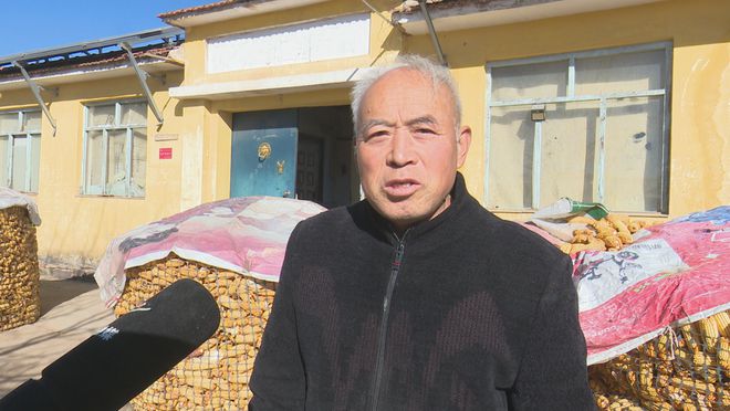 作社：发展有机杂粮系列产品 带动群众增收PG麻将胡了试玩平台龙鑫种植农民专业合(图2)