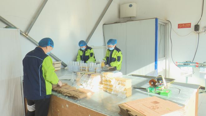 作社:发展有机杂粮系列产品 带动群众增收PG麻将胡了试玩平台龙鑫种植农民专业合(图9) 作社:发展有机杂粮系列产品 带动群众增收PG麻将胡了试玩平台龙鑫种植农民专业合(图9)