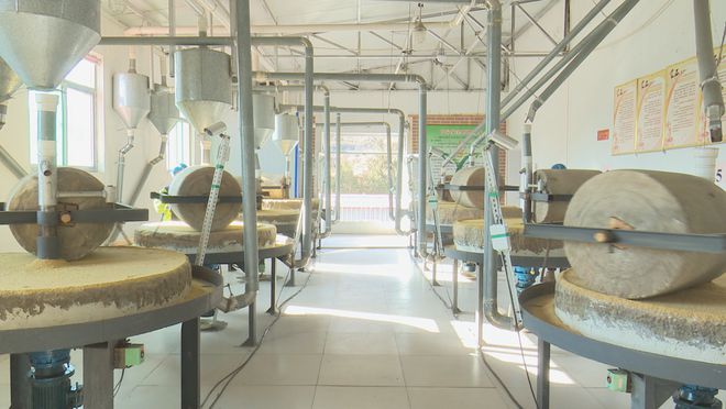 作社:发展有机杂粮系列产品 带动群众增收PG麻将胡了试玩平台龙鑫种植农民专业合(图8) 作社:发展有机杂粮系列产品 带动群众增收PG麻将胡了试玩平台龙鑫种植农民专业合(图8)