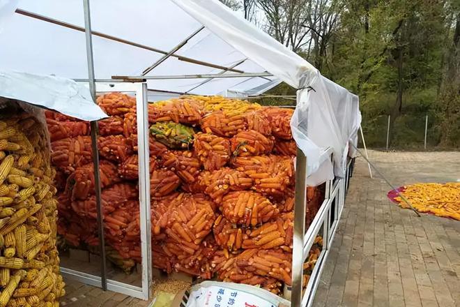 23年在河北去世农民家发现“鸡跳脚”PG麻将胡了网站入口曾差点消失！20(图8)