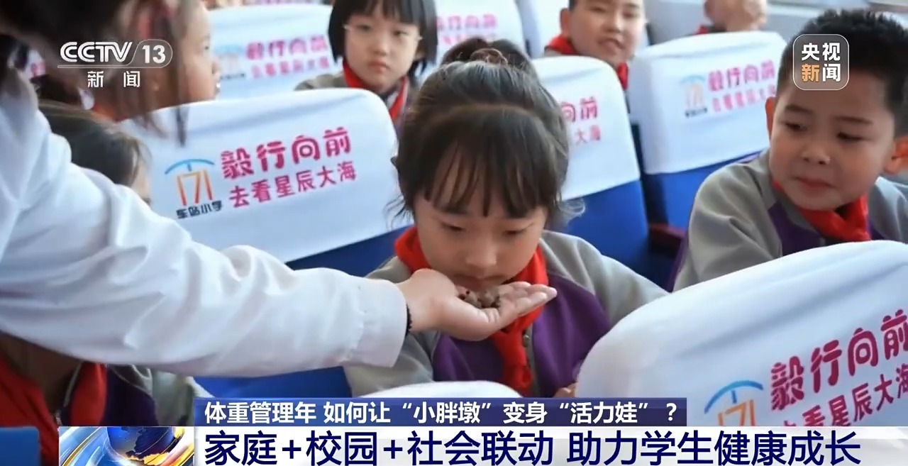 ” 各地中小学解锁定制版“活力养成手册”PG麻将胡了免费模拟器为小胖墩“开处方