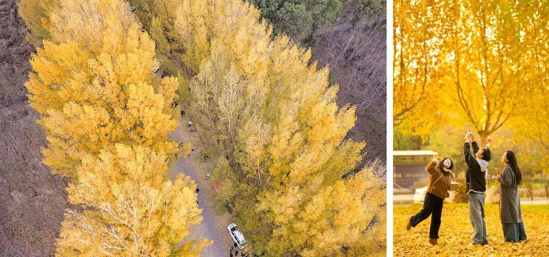 西广播电视报》2025年第46期PG电子麻将胡了2电子版 《山(图13)