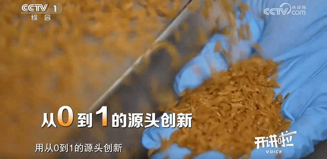 士解锁食物密码用科研守护粮食安全PG麻将胡了央视开讲！深大吴奇院(图3)